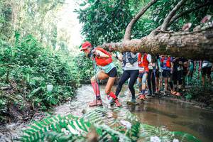 BIB: 
                            <button type="button" onclick="openModal(25471714)" class="btn btn-primary btn-sm float-right btn-popup" data-toggle="modal" data-target=".modal-high-quality">
                        <i class="fas fa-shopping-cart"></i> Add to Cart
                    </button>
                                            <button type="button" onclick="isThisMe(25471714, true)" class="btn btn-success btn-sm float-right btn-popup btn-isme hidden" data-toggle="tooltip" data-placement="bottom" title="นี่คือรูปของคุณใช่ไหม คลิกที่นี่เพื่อเอาเข้าอัลบั้ม">
                        <i class="fas fa-plus"></i> Add to album
                    </button>
                    <button type="button" onclick="isThisMe(25471714, false)" class="btn btn-warning btn-sm float-right btn-popup btn-isnotme hidden">
                        <i class="fas fa-ban"></i> Remove from album
                    </button>